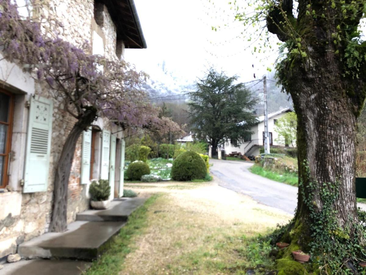 Au Pied Du Vercors Tout Est Permis La Riviere  Eksteriør bilde