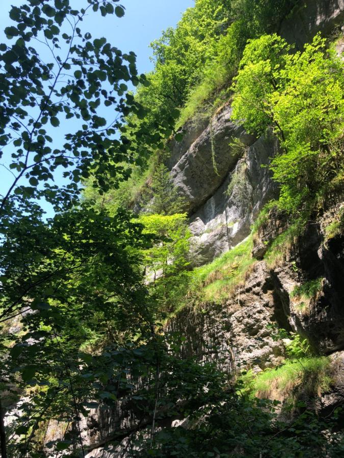 Au Pied Du Vercors Tout Est Permis La Riviere  Eksteriør bilde