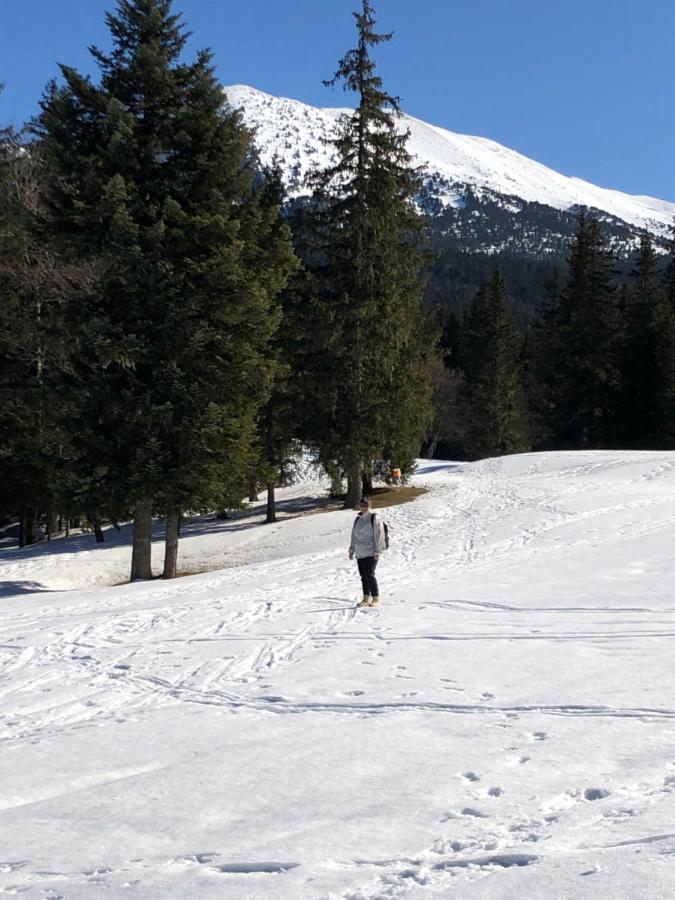 Au Pied Du Vercors Tout Est Permis La Riviere  Eksteriør bilde