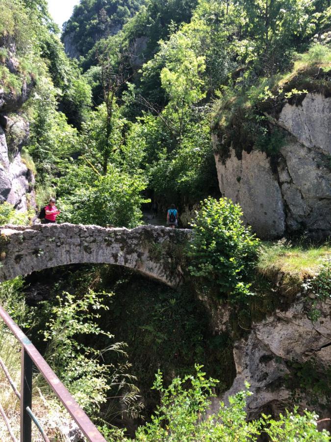 Au Pied Du Vercors Tout Est Permis La Riviere  Eksteriør bilde